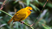 2024-01 |Jan | Mandai Bird Paradise